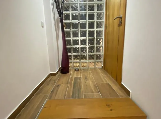 Luca 阿尔布费拉